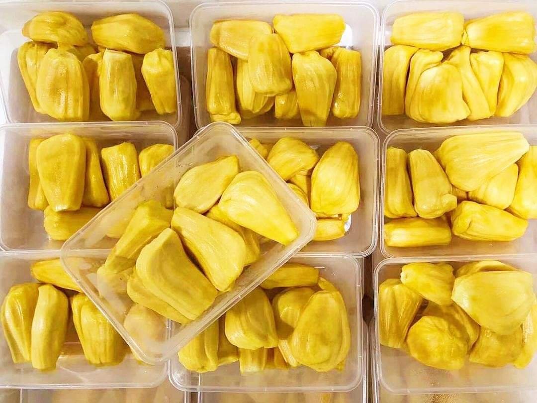 Honey Jackfruit Nangka Madu 400g Cocofans